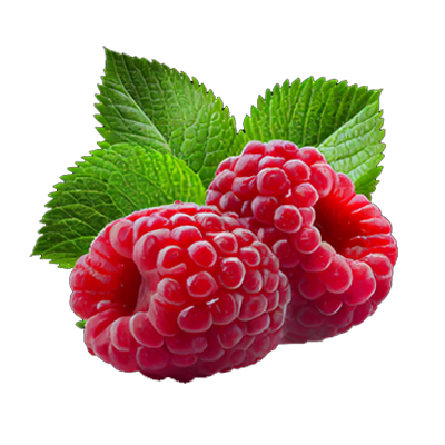 Raspberry Vitality I Rizo Radiance's Collagen Collection