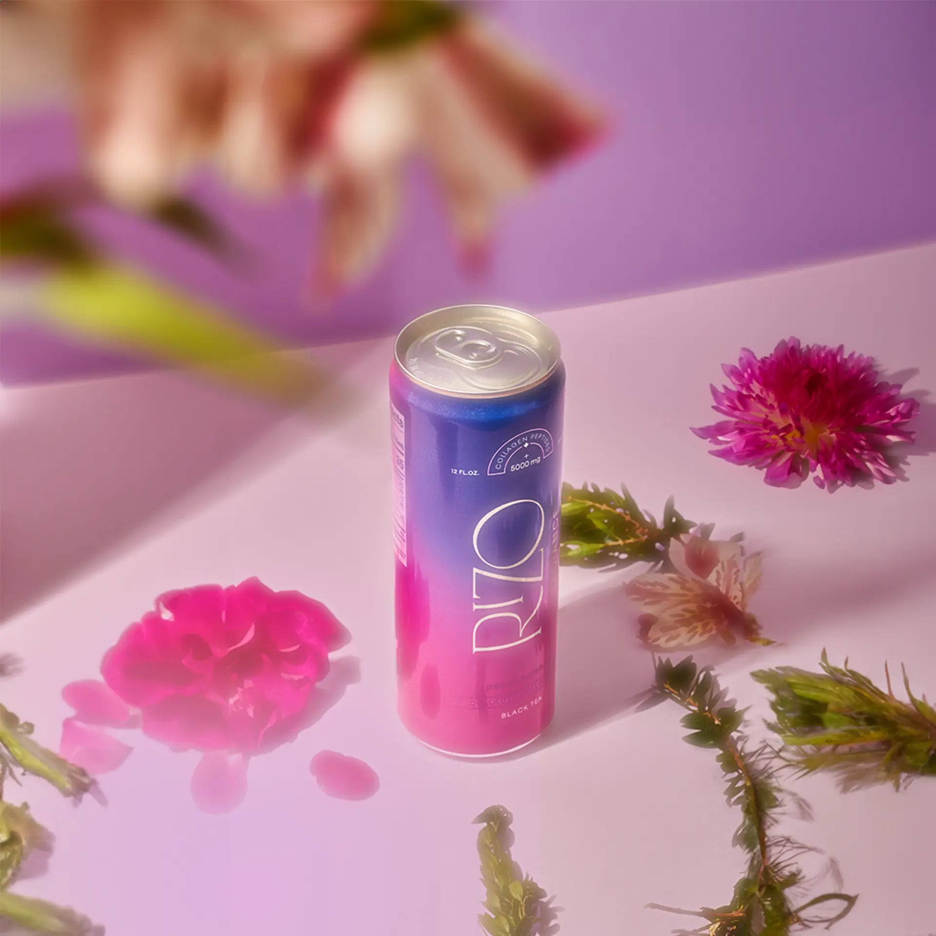 rizo radiance glow peach serenity flowers