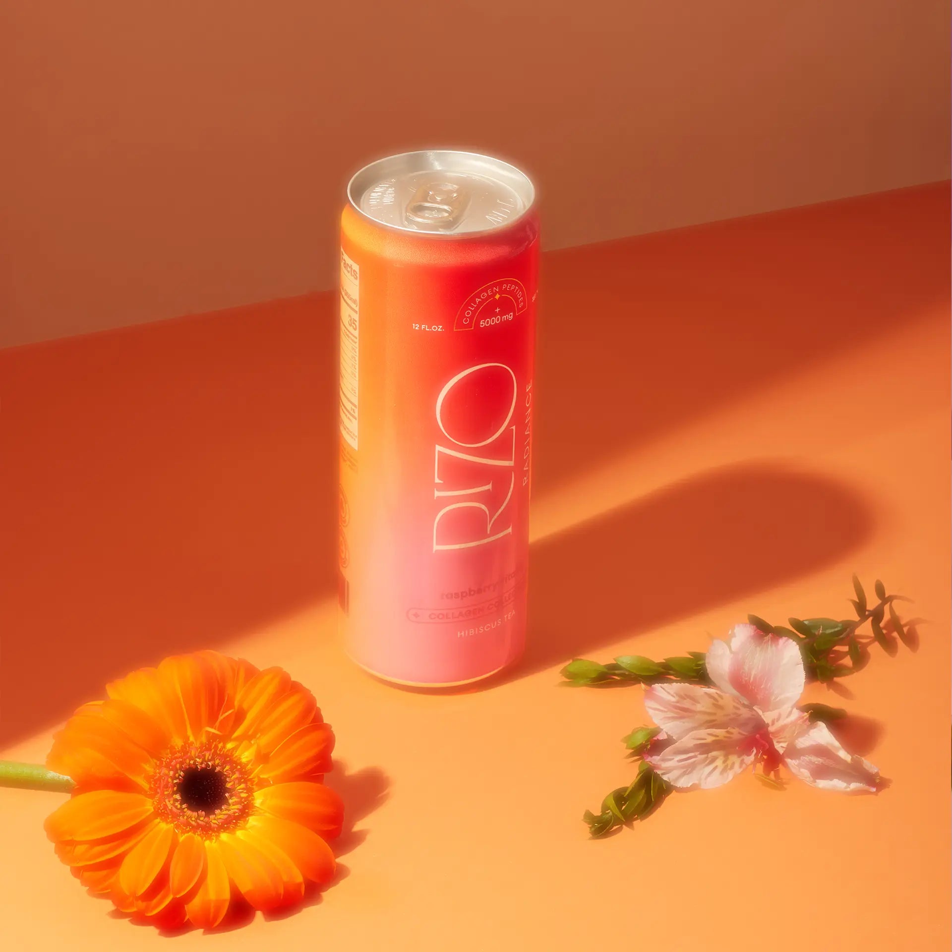 rizo radiance raspberry vitality flowers